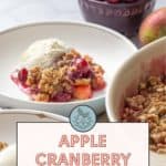 A bowl of delicious apple cranberry crisp with a scoop of ice cream, accompanied by fresh cranberries and an apple. Text on the image reads "Apple Cranberry Crisp. Get the recipe at stetted.com".