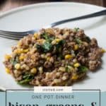 A plate of bison one-pot dinner featuring greens and grains. Text on the image reads, "stetted.com, One Pot Dinner, Bison, Greens,& Grains.