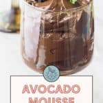 Close-up of a glass filled with rich and creamy avocado mousse, garnished with a blackberry and a mint leaf. Text overlay reads "Avocado Mousse" and "rich and creamy dessert.