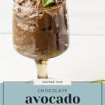 A glass of rich avocado mousse garnished with a blackberry and mint leaf, with a text label at the bottom reading "Chocolate Avocado Mousse" from Stetted.com.