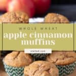 Whole wheat apple cinnamon muffins in green striped paper liners are displayed on a wooden surface. The background features red apples. Text overlay reads "Whole Wheat Apple Cinnamon Muffins, stetted.com".