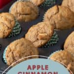 Close-up of a tray with nine freshly baked apple cinnamon muffins, each in a green and white paper liner. Text at the bottom reads "Delicious Apple Cinnamon Muffins" with the stetted.com website mentioned.