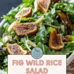 A close-up of a fig wild rice salad with greens and almond slivers. Text on the image reads, "Fig Wild Rice Salad. Fall favorite. Get the recipe at Stetted.com.