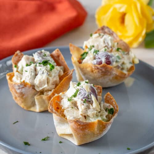 https://www.stetted.com/wp-content/uploads/2020/04/Chicken-Salad-Wonton-Cups-Photo-500x500.jpg