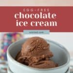 A delightful duo of chocolate ice cream scoops rests in a bowl on the table. Above, the text proudly announces "Egg-free chocolate ice cream," with a convenient website URL below.