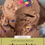 Close-up of rich chocolate ice cream adorned with colorful sprinkles. Text overlay: "Easy No-Egg Recipe for Decadent Chocolate Ice Cream.