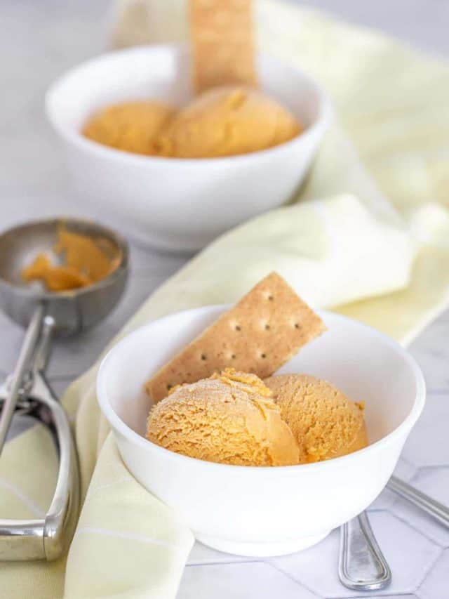 Pumpkin Spice Ice Cream