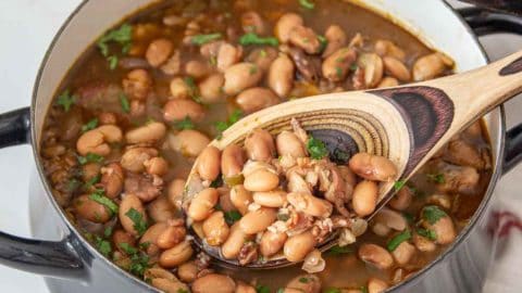 Instant pot cheap borracho beans recipe