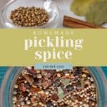 A variety of spices, including coriander, mustard seeds, bay leaves, and a cinnamon stick, are arranged in bowls and on a plate. The text overlay reads "Homemade Pickling Spice" at stetted.com.