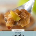 A spoonful of spiced apple compote with visible apple chunks, set against a blurred background. The text on the image reads "stetted.com Apple Compote.