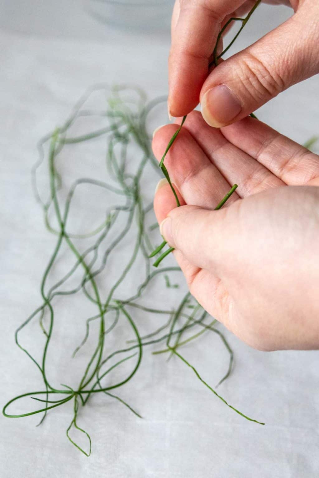 How to Dry Chives - stetted