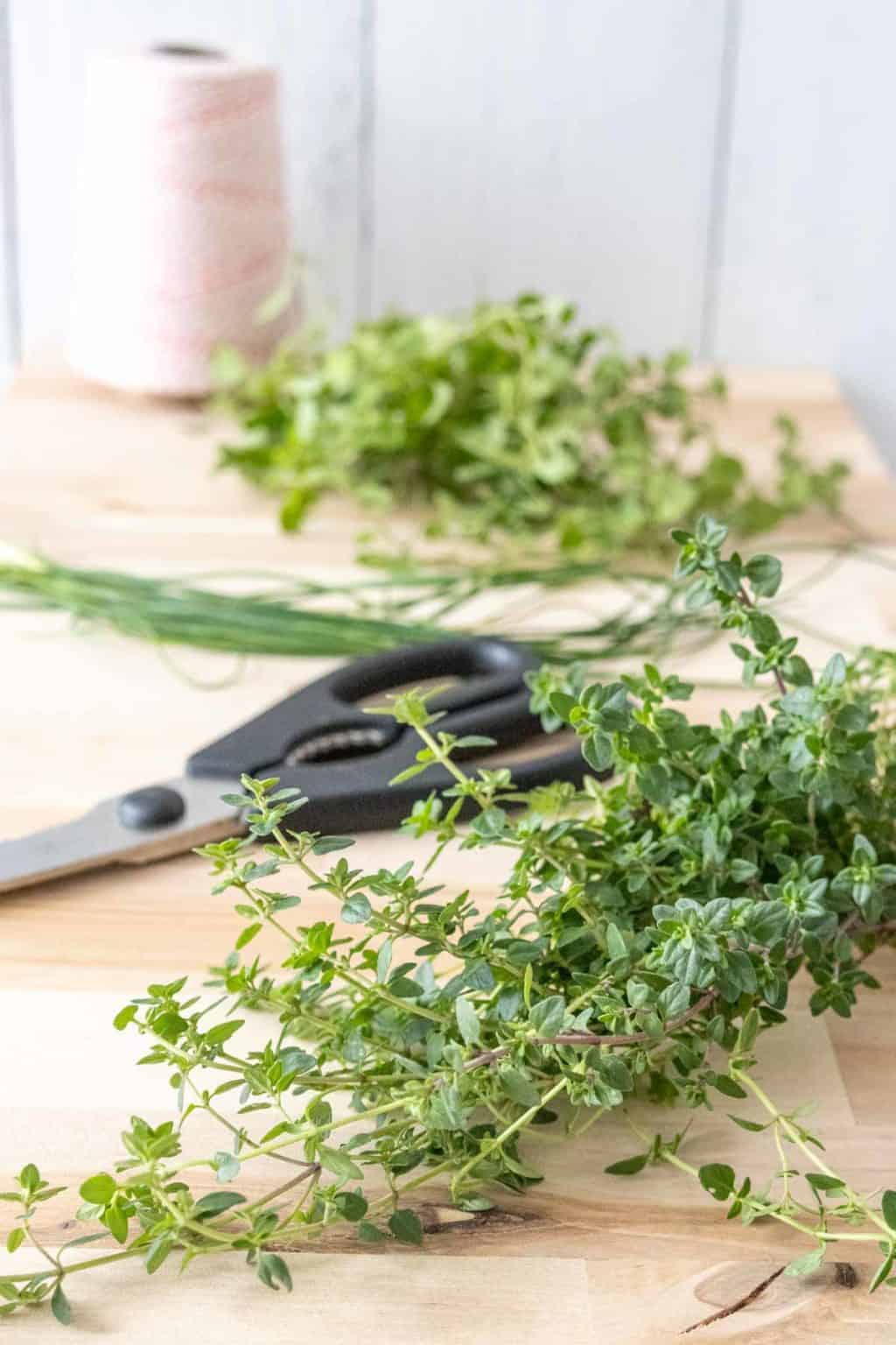 How To Dry Chives Stetted   How To Dry Herbs Photo 1024x1536 