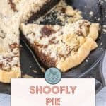 A pie with a slice removed, showing a crumbly topping and dark filling inside a cast iron skillet. A label reads "Shoofly Pie: old fashioned classic" with a link to the recipe at stetted.com. Indulge in this time-honored dessert!