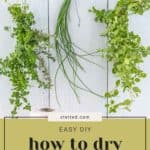 Three bundles of fresh herbs hanging upside down on a rustic wooden wall with "Easy DIY how to dry chives" in bold on a vibrant yellow banner below.