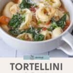 A steaming bowl of tortellini soup, brimming with spinach and juicy tomatoes, all crowned with grated cheese. The text at the bottom reads, "Tortellini Soup: easy & delicious.