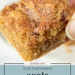 Close-up of a hand holding apple squares with a crumbly texture. Text reads "stetted.com" and "Old Fashioned Apple Squares.