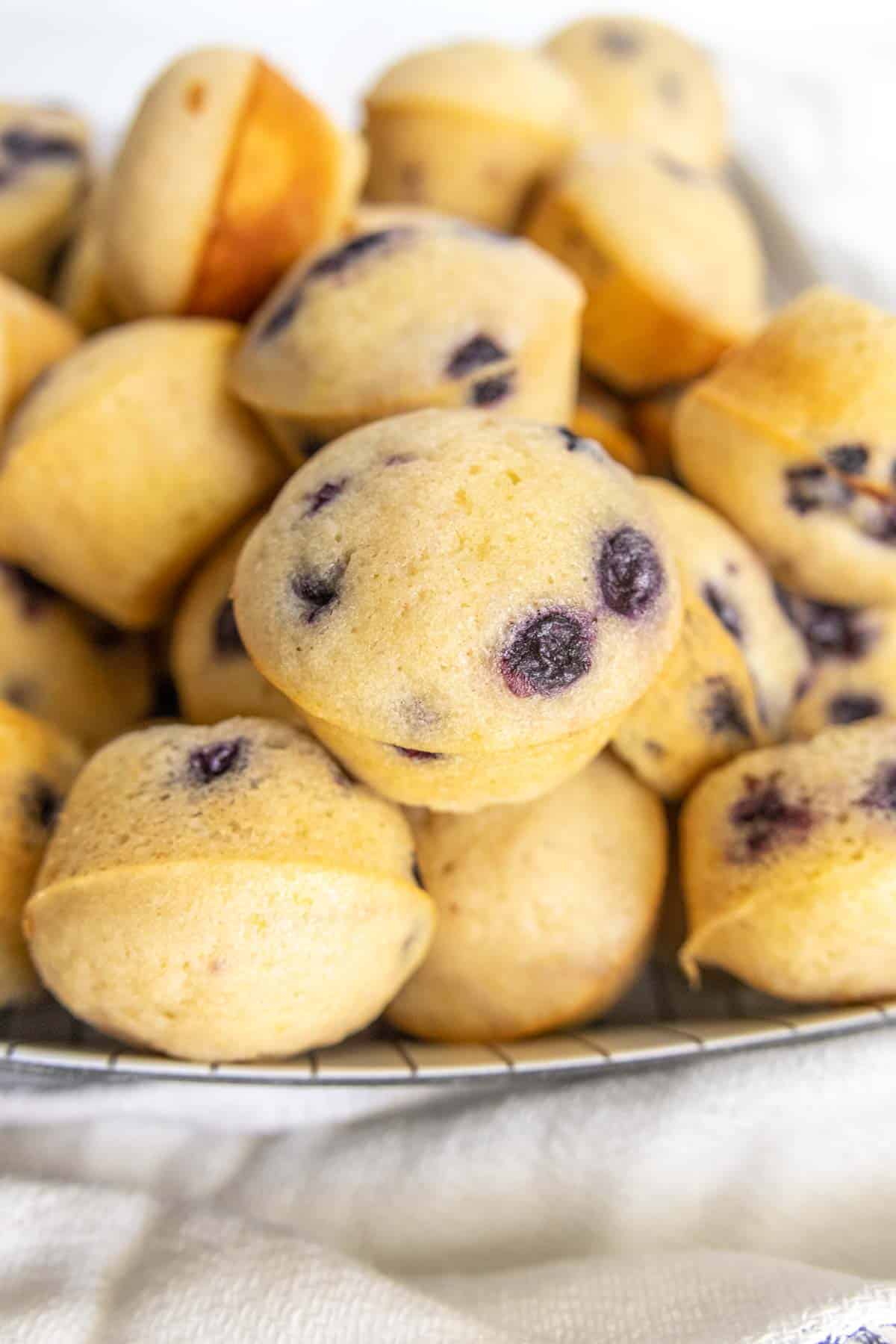 A close-up image of a plate of mini blueberry muffins. The muffins are golden-brown with visible blueberries baked into them.