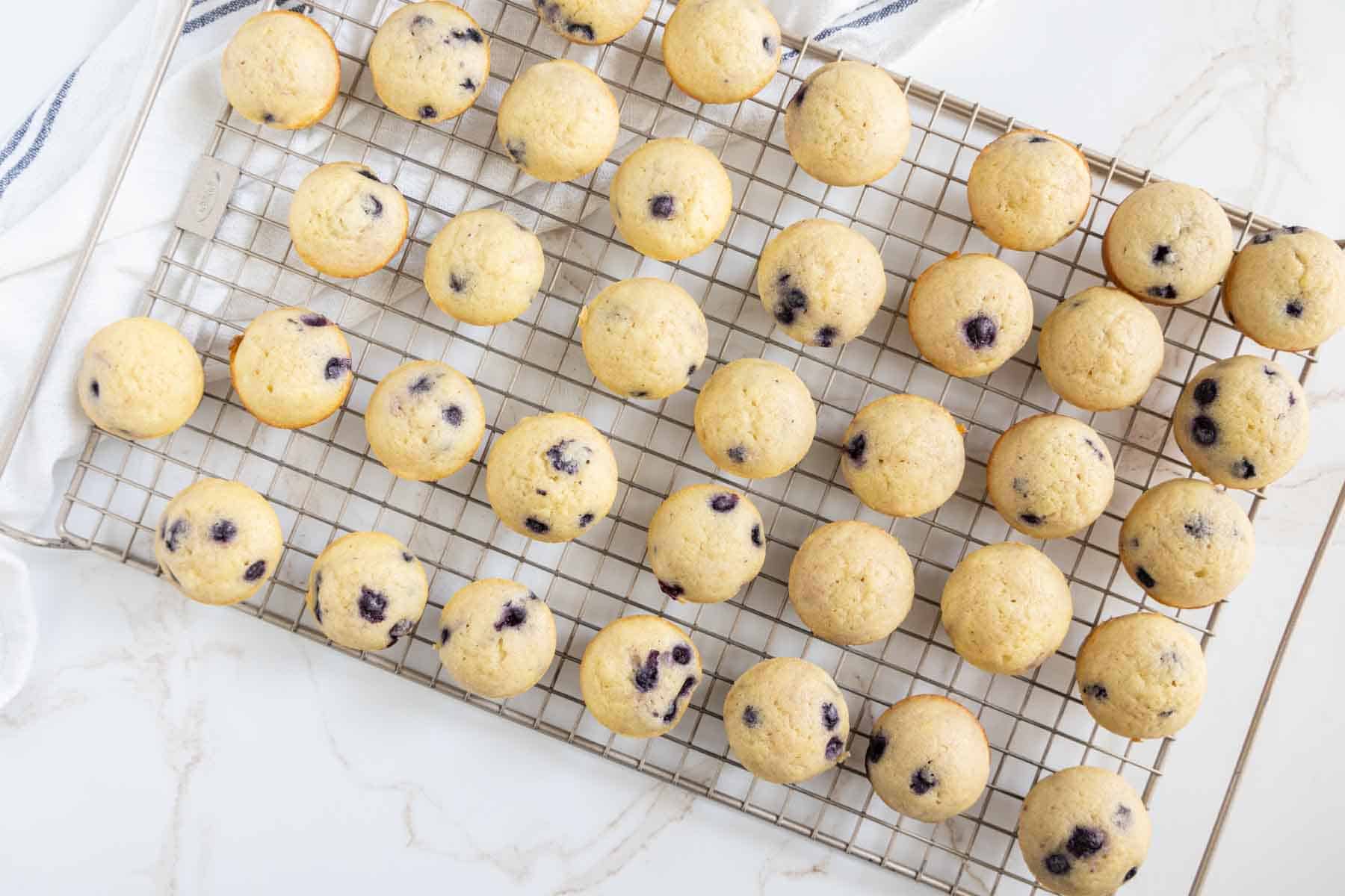 A cooling rack is filled with numerous freshly baked blueberry muffins, evenly spaced and set on a white countertop.