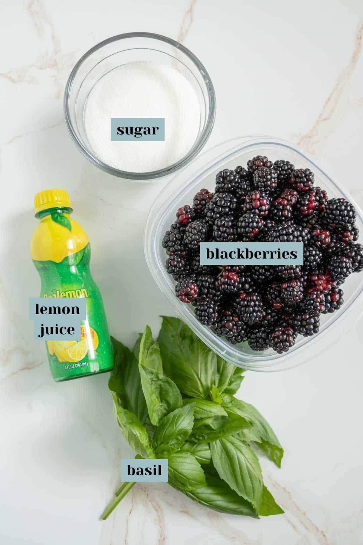 A container of blackberries, a bowl of sugar, a bottle of lemon juice, and a bunch of basil leaves arranged on a marble surface. Each item is labeled with text overlays.