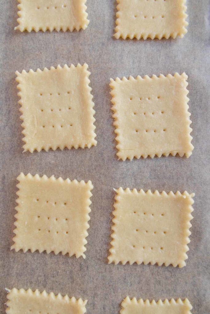 Unbaked square cookies with zigzag edges and fork-docked tops are arranged in rows on parchment paper.