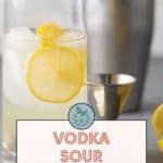 A glass of Vodka Sour with ice, garnished with lemon slices. A cocktail shaker, jigger, and lemon wedge are in the background. Text overlay: "Vodka Sour with spicy simple syrup. Get the recipe at stetted.com.