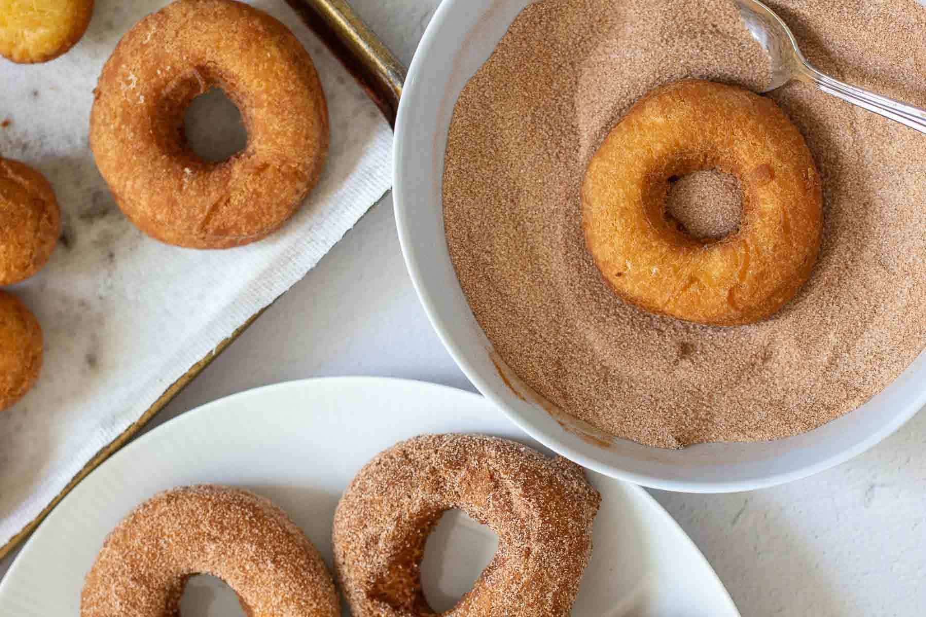 donuts on plate and in cinnamon sugar