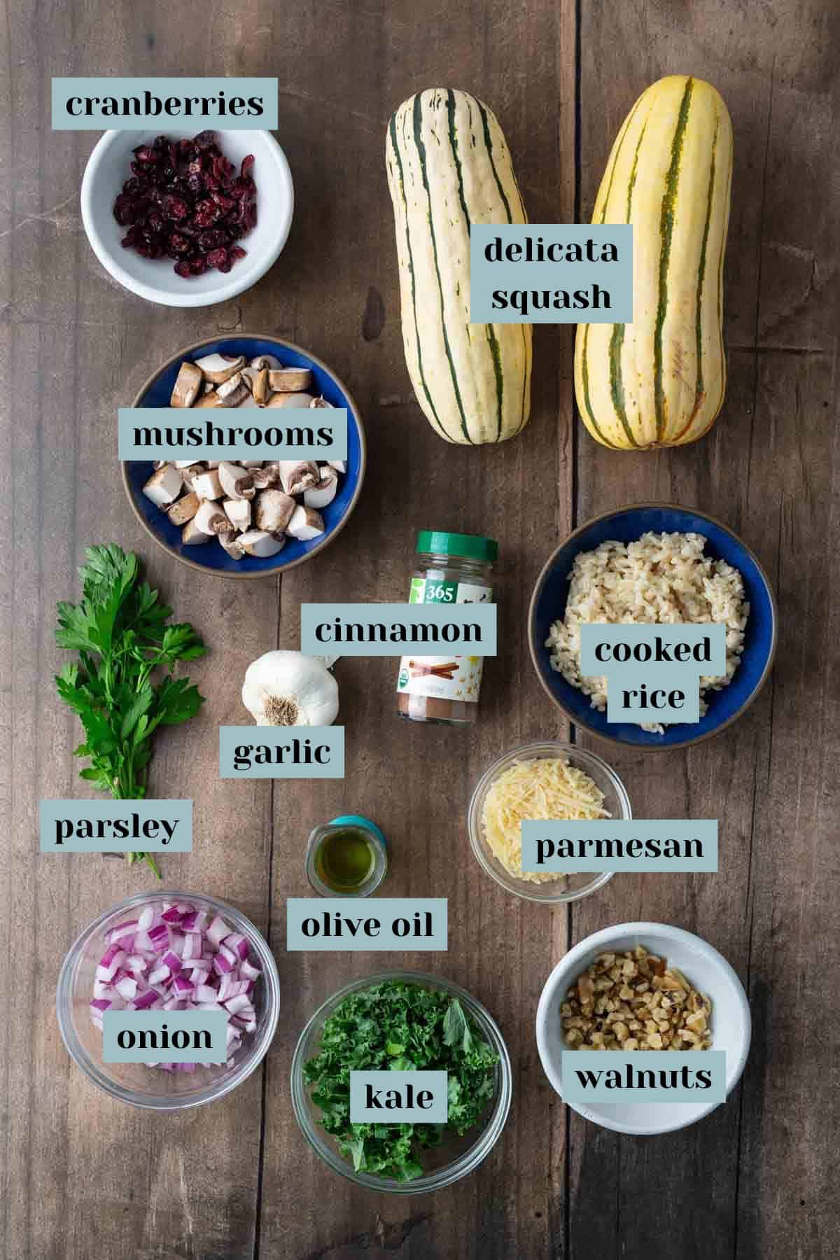 Top-down view of cooking ingredients labeled: cranberries, mushrooms, delicata squash, cooked rice, parsley, cinnamon, garlic, parmesan, onion, olive oil, kale, and walnuts on a wooden surface.