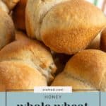 Close-up of golden brown whole wheat rolls stacked together. Text overlay reads "Honey Whole Wheat Rolls" with a website name above.