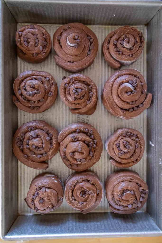 Twelve unbaked chocolate rolls topped with chocolate chips arranged in a rectangular baking pan.