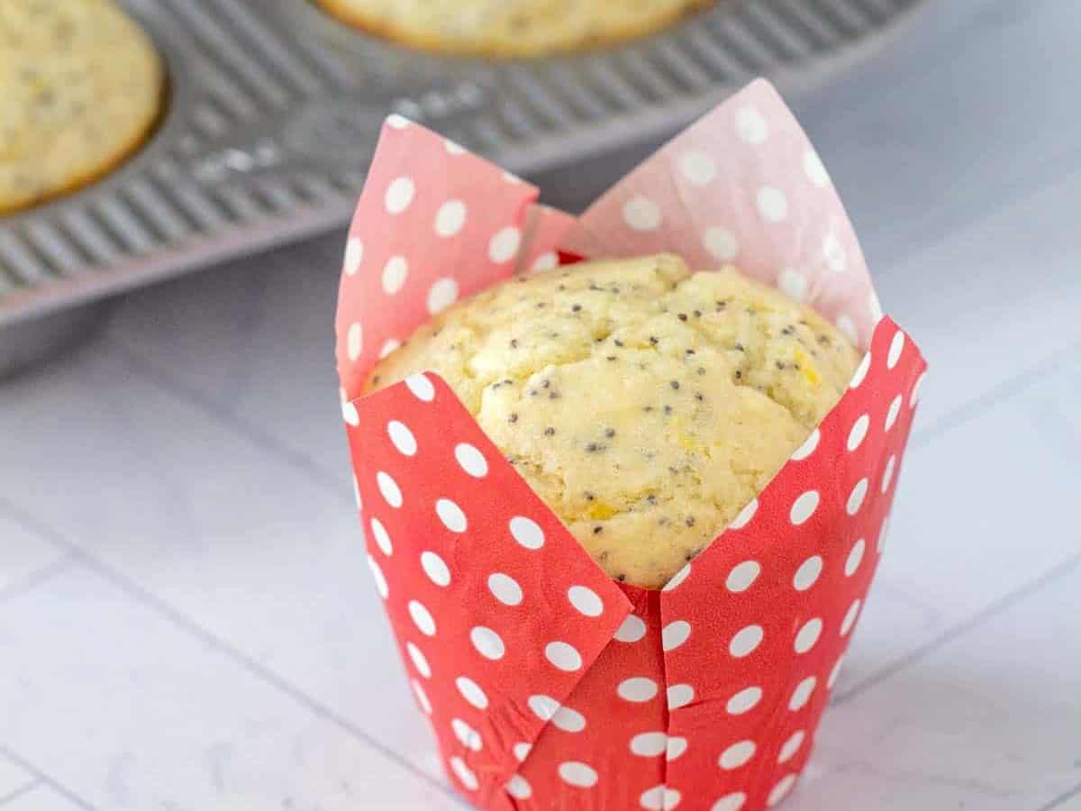 lemon poppy seed muffin in red paper liner