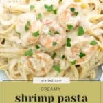 A plate of creamy shrimp pasta garnished with parsley. Text on the image reads "creamy shrimp pasta recipe" and "stetted.com".