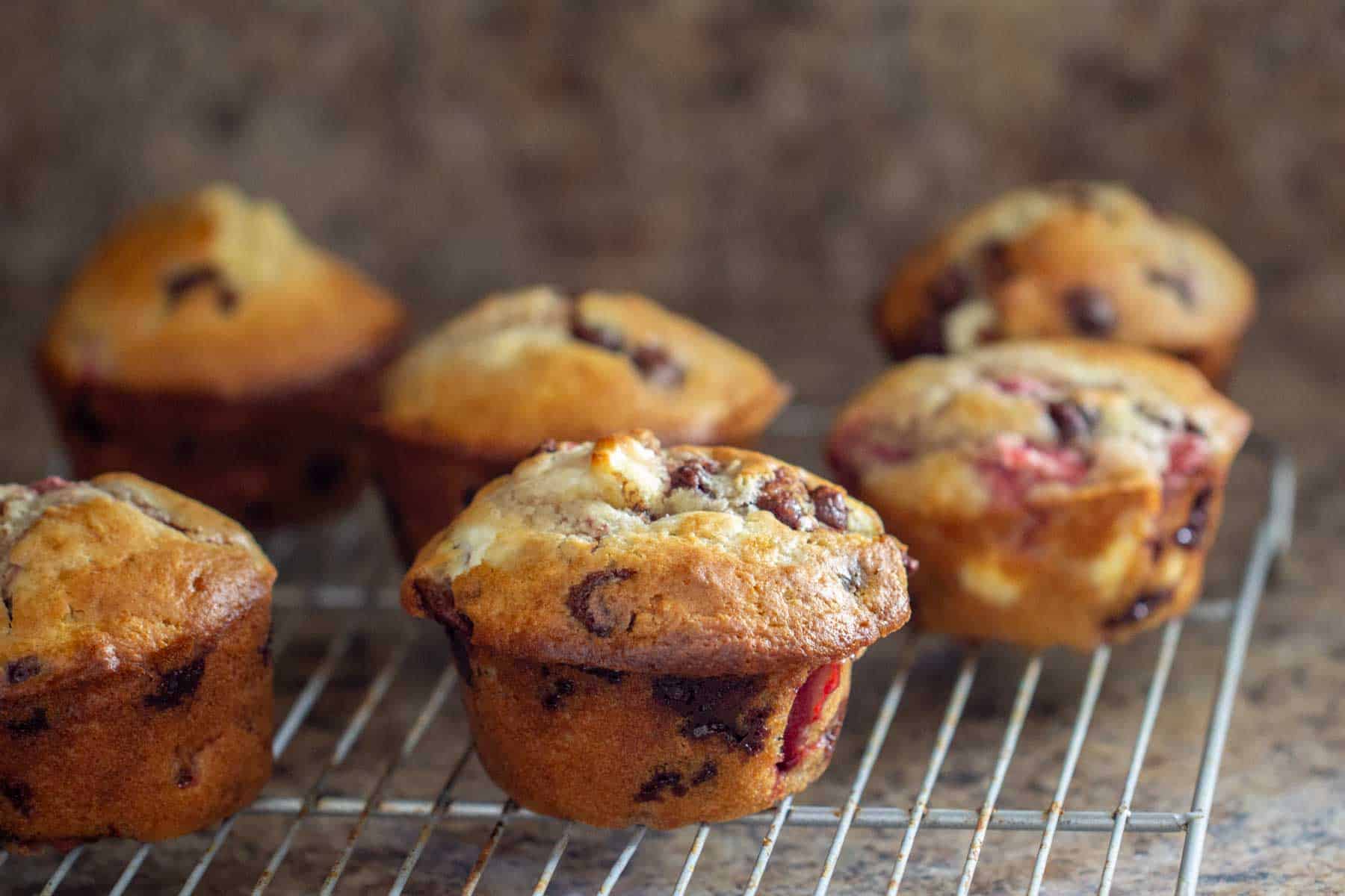 Chocolate chip muffins cooling on a wire rack against a speckled counter background.